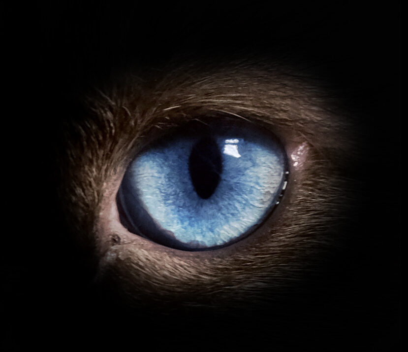 A deux pas d'ailleurs